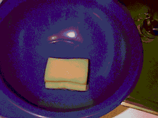 'sponge' animated gif, 575KB